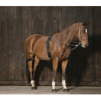 Norton katrollenhulpteugel