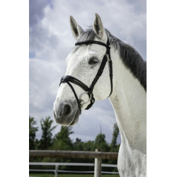 Bridon Norton Pro Soft Zwart Bridon Norton Pro Soft Zwart