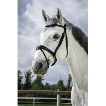 Bridon Norton Pro Soft Zwart Bridon Norton Pro Soft Zwart