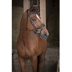 Bridon Norton Pro Soft Zwart Bridon Norton Pro Soft Zwart