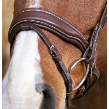 Bridon Norton Pro Miss pour cheval