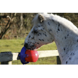 Zoutsteen Tongue Twister Likit Rood Zoutsteen Tongue Twister Likit Rood