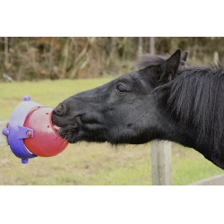 Zoutsteen Tongue Twister Likit Rood Zoutsteen Tongue Twister Likit Rood
