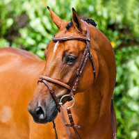 Filet Constance Horze Bruin Filet Constance Horze Bruin