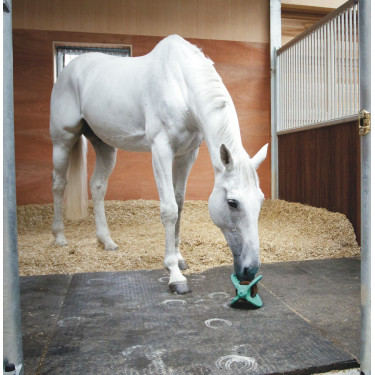 Speelgoed Bizzy Ball Likit Blauw Speelgoed Bizzy Ball Likit Blauw