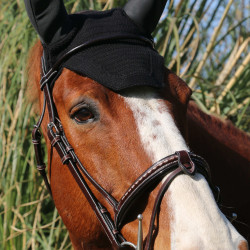 Bridon Pénélope Point Sellier Havana Bruin