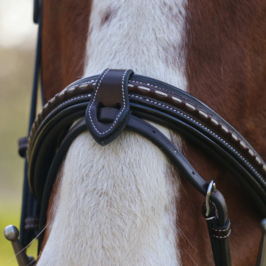 Bridon Pénélope Point Sellier Havana Bruin