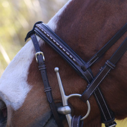 Bridon Pénélope Point Sellier Havana Bruin