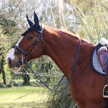 Bridon Pénélope Point Sellier Havana Bruin