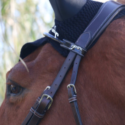 Bridon Pénélope Point Sellier Havana Bruin