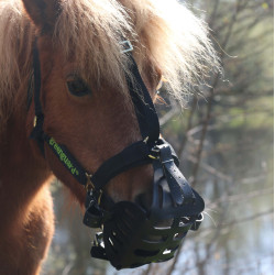 Greenguard mand Zwart Greenguard mand Zwart