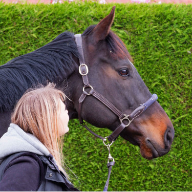 Licol corde Canter