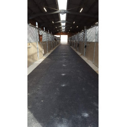 Tapis major - Couloir de circulation Tapis major - Couloir de circulation