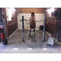 DELTA DIAM - SOL ALLEE ECURIE DELTA DIAM - SOL ALLEE ECURIE