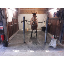 DELTA DIAM - SOL ALLEE ECURIE DELTA DIAM - SOL ALLEE ECURIE