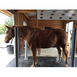 DELTA DIAM - SOL ALLEE ECURIE DELTA DIAM - SOL ALLEE ECURIE