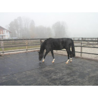 Delta Diam 16 mm Puzzle - Allée, Van et Camion Delta Diam 16 mm Puzzle - Allée, Van et Camion