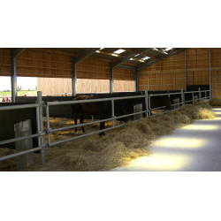 Caoutchouc MC 2000mm - séparation de box Caoutchouc MC 2000mm - séparation de box