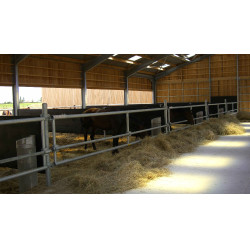 Caoutchouc MC 3000mm - Séparation de box Caoutchouc MC 3000mm - Séparation de box