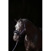 Licol Classic Soft Covalliero Bleu marine