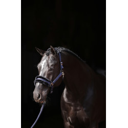 Licol Classic Soft Covalliero Bleu marine