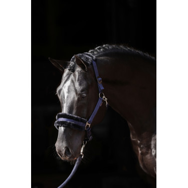 Licol Classic Soft Covalliero Licol Classic Soft Covalliero