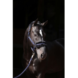 Licol Classic Soft Covalliero Bleu marine