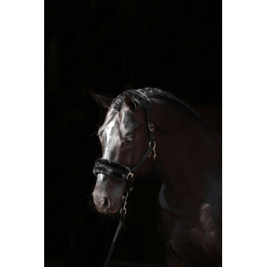 Licol Classic Soft Covalliero Noir