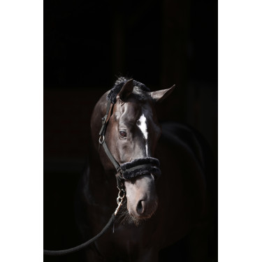 Licol Classic Soft Covalliero Noir