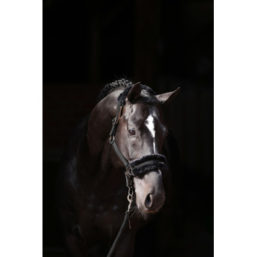 Licol Classic Soft Covalliero Noir