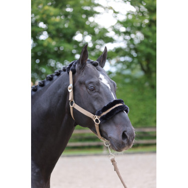 Halster Classic Soft Covalliero Halster Classic Soft Covalliero