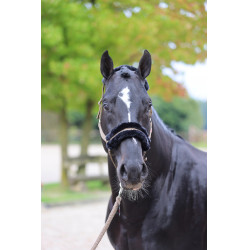 Halster Classic Soft Covalliero Halster Classic Soft Covalliero