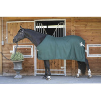 Chemise Paddock Sports Présentation Vert