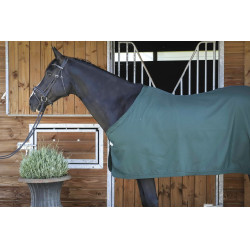 Paddock Sports Presentatiehemd Groen