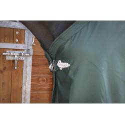 Chemise Paddock Sports Présentation Vert Chemise Paddock Sports Présentation Vert
