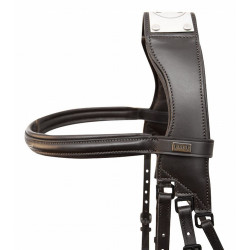 Hoofdstel met brug Raphaël T van T Zwart