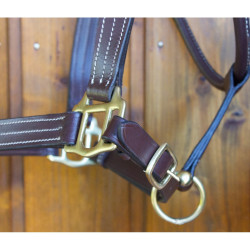 Leren halster T de T drievoudig gestikt nylon versteviging Donkerbruin Leren halster T de T drievoudig gestikt nylon versteviging Donkerbruin