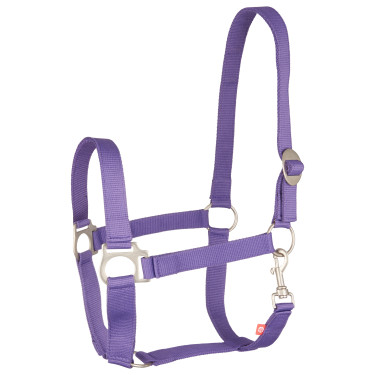 Halster Imperial Riding Economic Koninklijk Paars Violet
