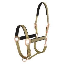 Halster Imperial Riding Belle Star Halster Imperial Riding Belle Star