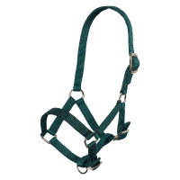 Licol poulain nylon têtière et muserolle réglable Imperial Riding Vert forêt Licol poulain nylon têtière et muserolle réglable Imperial Riding Vert forêt
