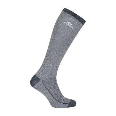 Chaussettes HV Polo Saar Ivy Green Vert