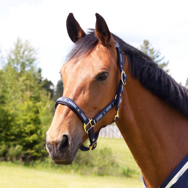 Halster Hamptons Horze Blauw