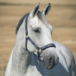 Licol Hamptons Horze Bleu