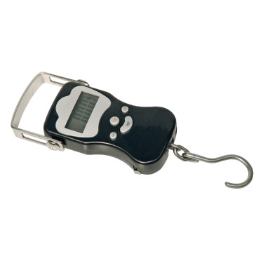 DIGITALE WEEGSCHAAL DIGISCALE 50