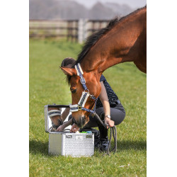 Poetskoffer Imperial Riding Shiny Zilver