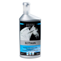 EQUISTRO ELYTAAN EQUISTRO ELYTAAN