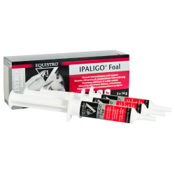 Equistro Ipaligo Puledro Equistro Ipaligo Puledro
