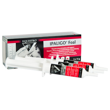 Equistro Ipaligo Puledro Equistro Ipaligo Puledro