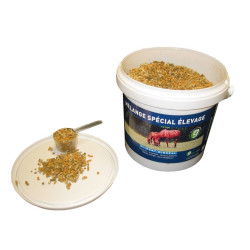 MSE Speciale Mengeling Fokkerij Greenpex MSE Speciale Mengeling Fokkerij Greenpex