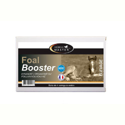 Foal Booster Horse Master per 4 Foal Booster Horse Master per 4